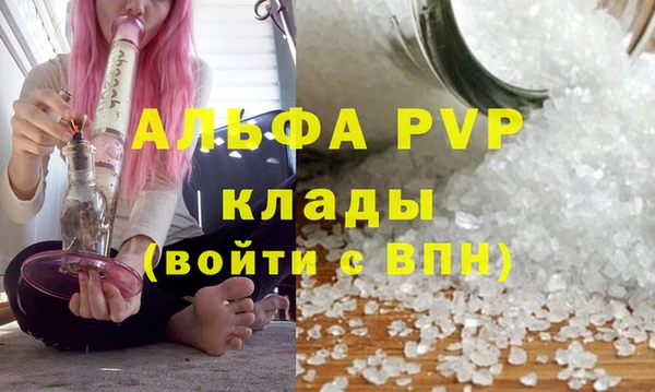 каннабис Белокуриха