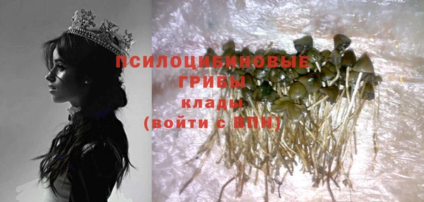 бутират Баксан