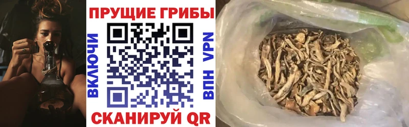 Галлюциногенные грибы прущие грибы  Дагестанские Огни 